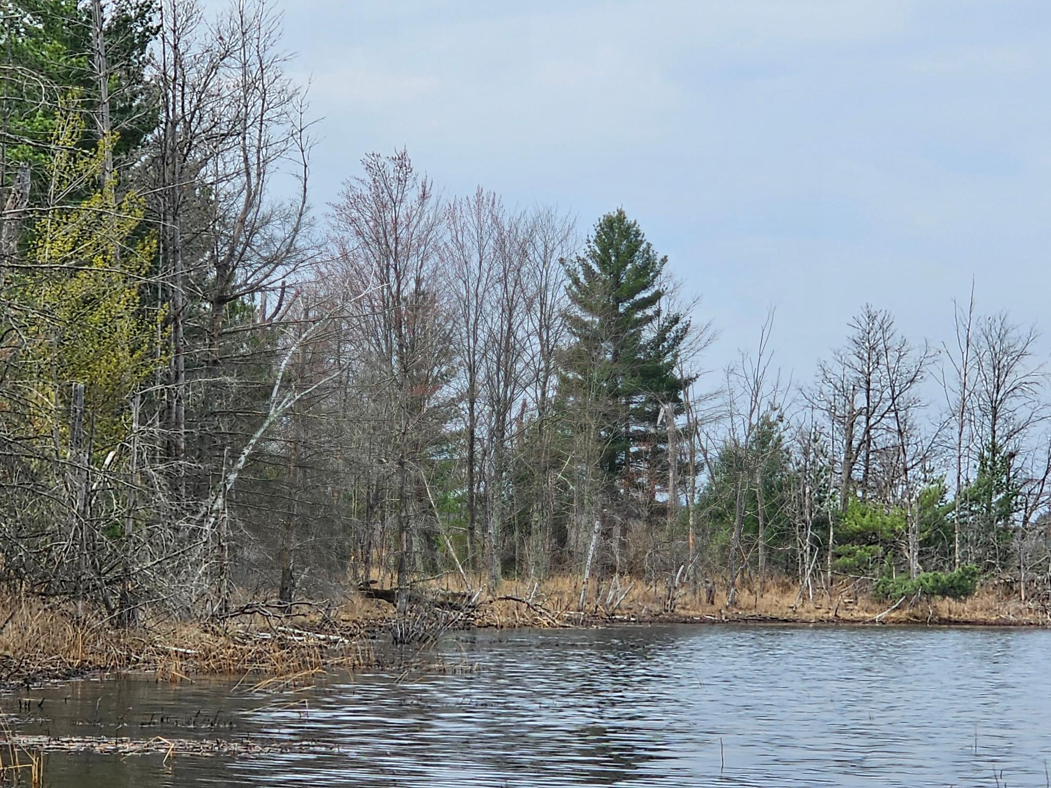 28457 Johnson Lake Road, Webster, Wisconsin image 14