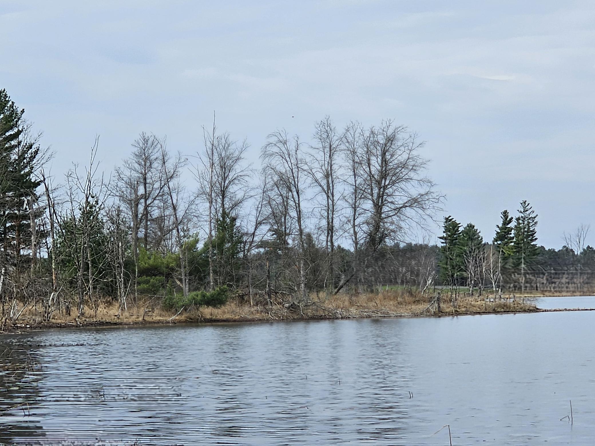 28457 Johnson Lake Road, Webster, Wisconsin image 3