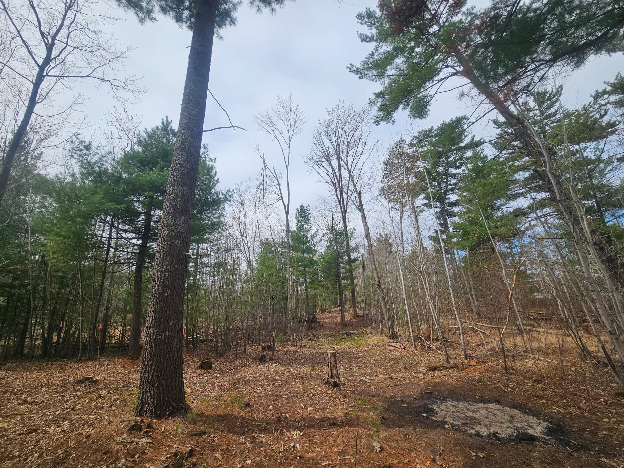 28457 Johnson Lake Road, Webster, Wisconsin image 12