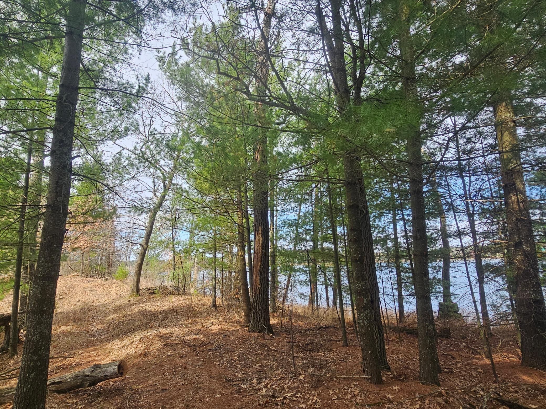 28457 Johnson Lake Road, Webster, Wisconsin image 15