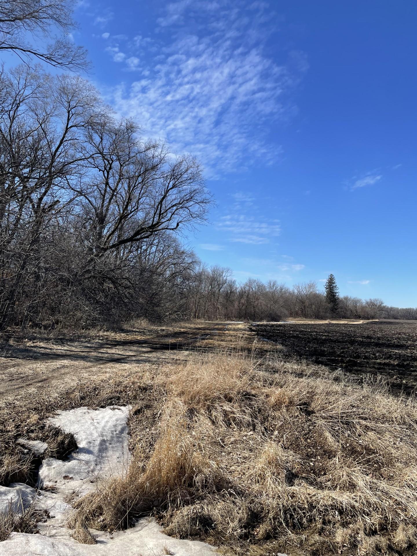 2 Grain Avenue, Silver Lake, Minnesota image 1