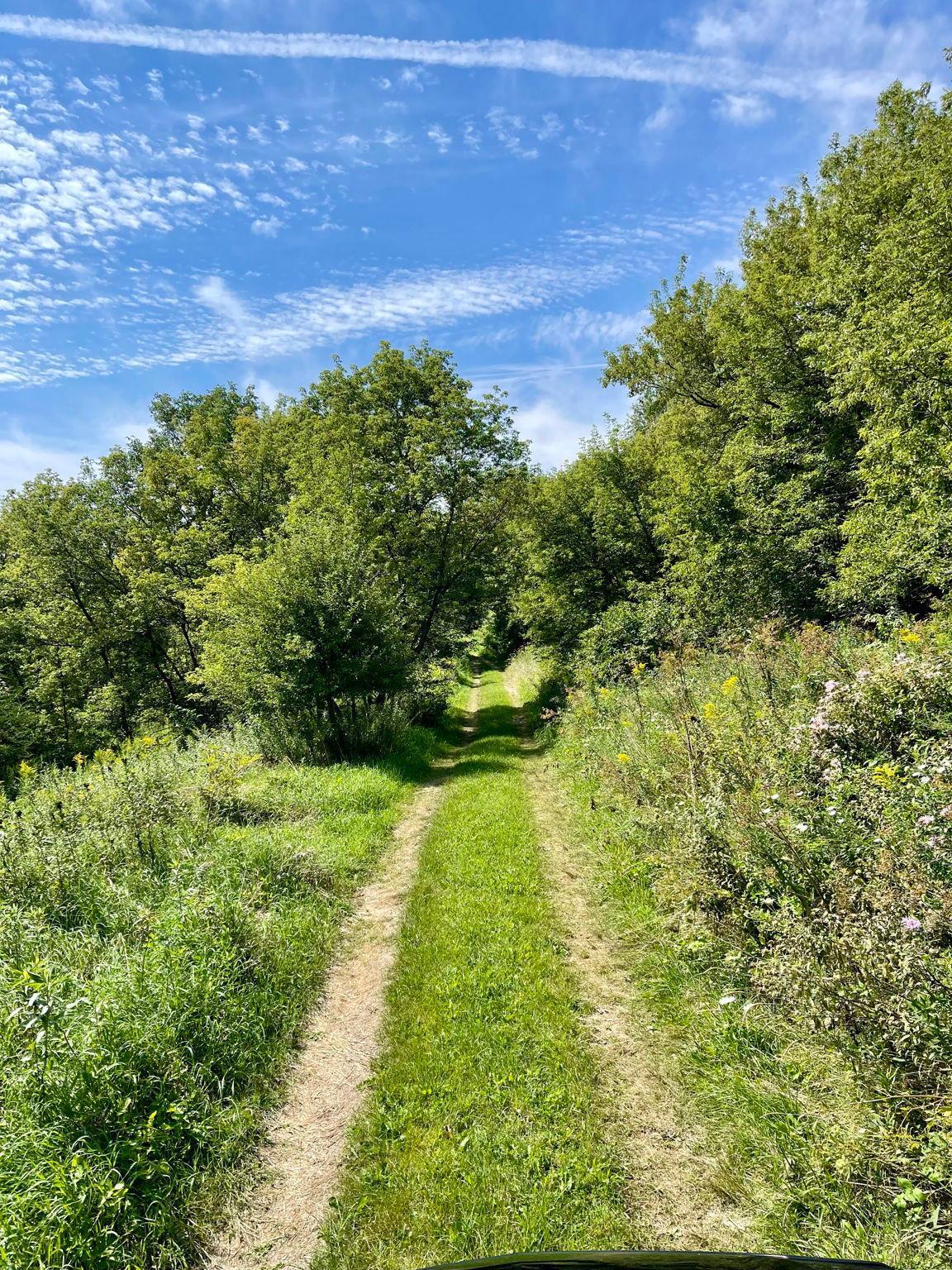 TBD County 8, Spring Grove, Minnesota image 37