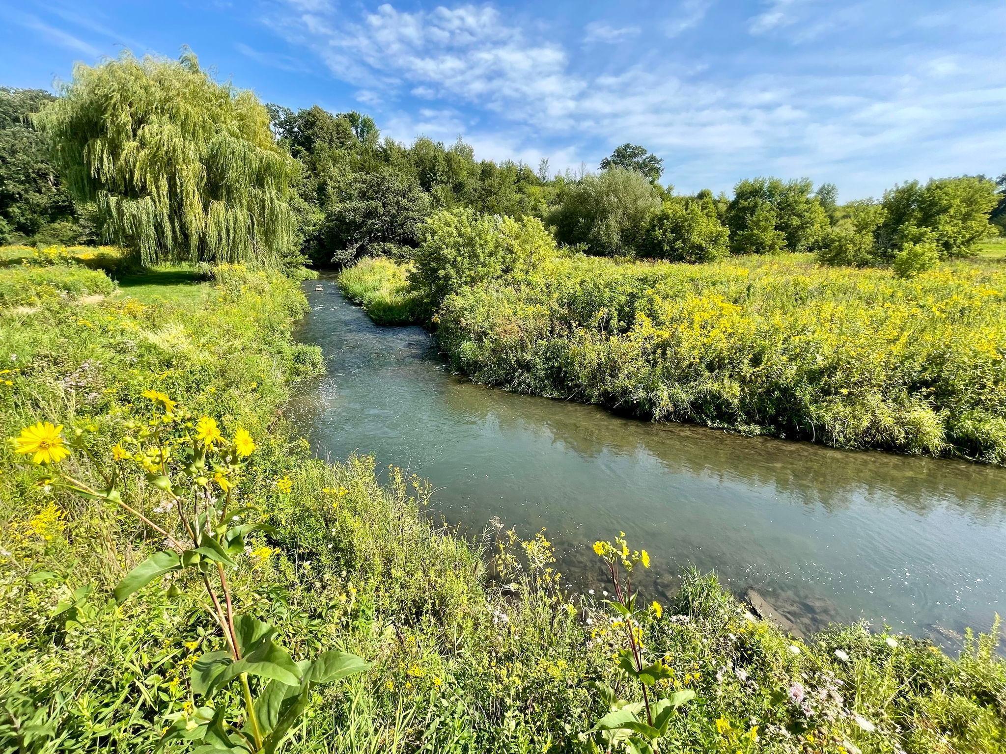 TBD County 8, Spring Grove, Minnesota image 40