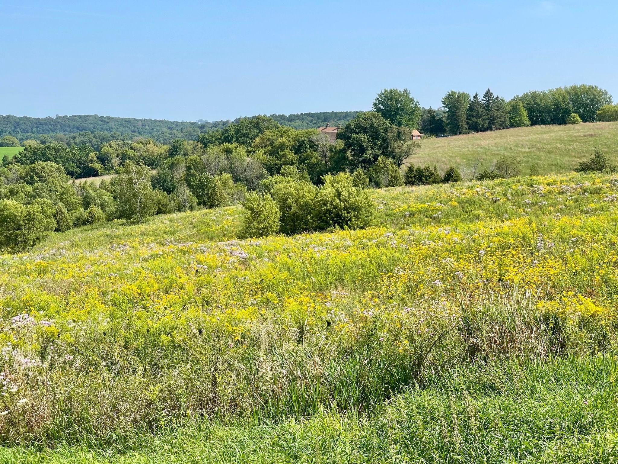 TBD County 8, Spring Grove, Minnesota image 27