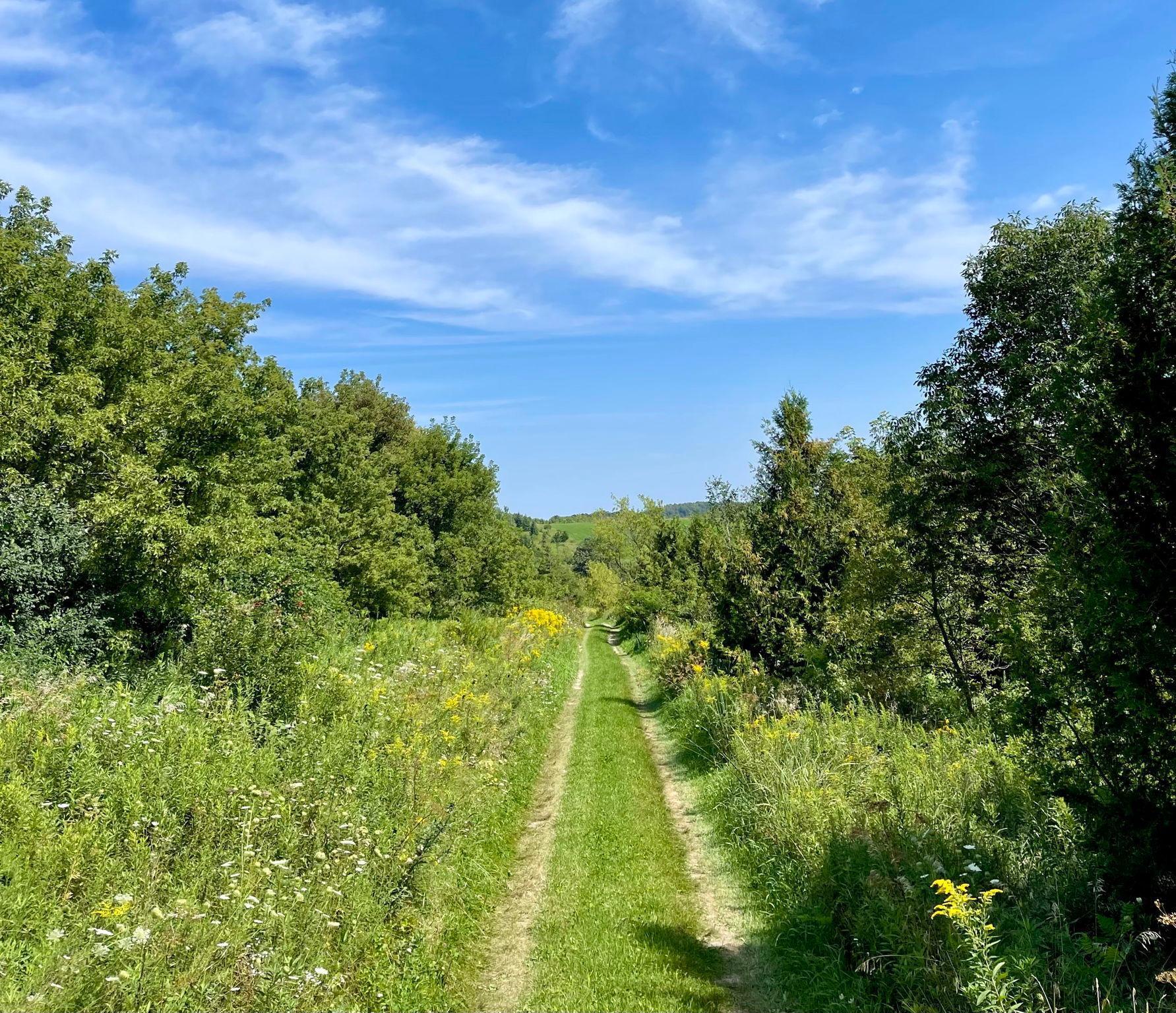 TBD County 8, Spring Grove, Minnesota image 41