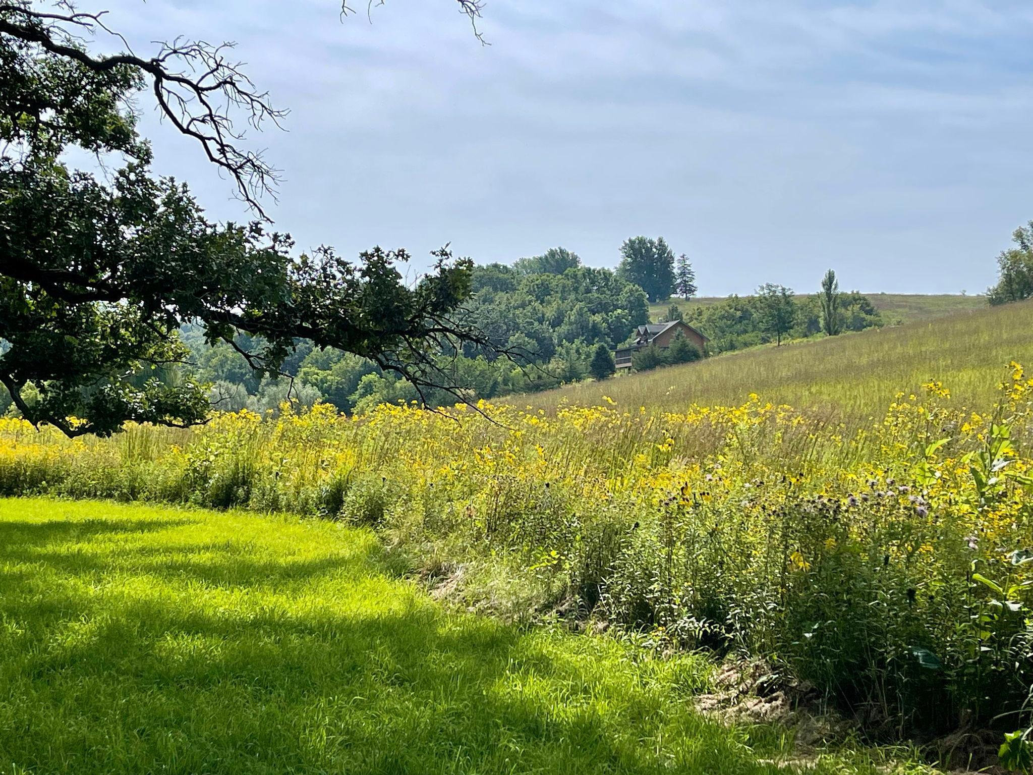 TBD County 8, Spring Grove, Minnesota image 44
