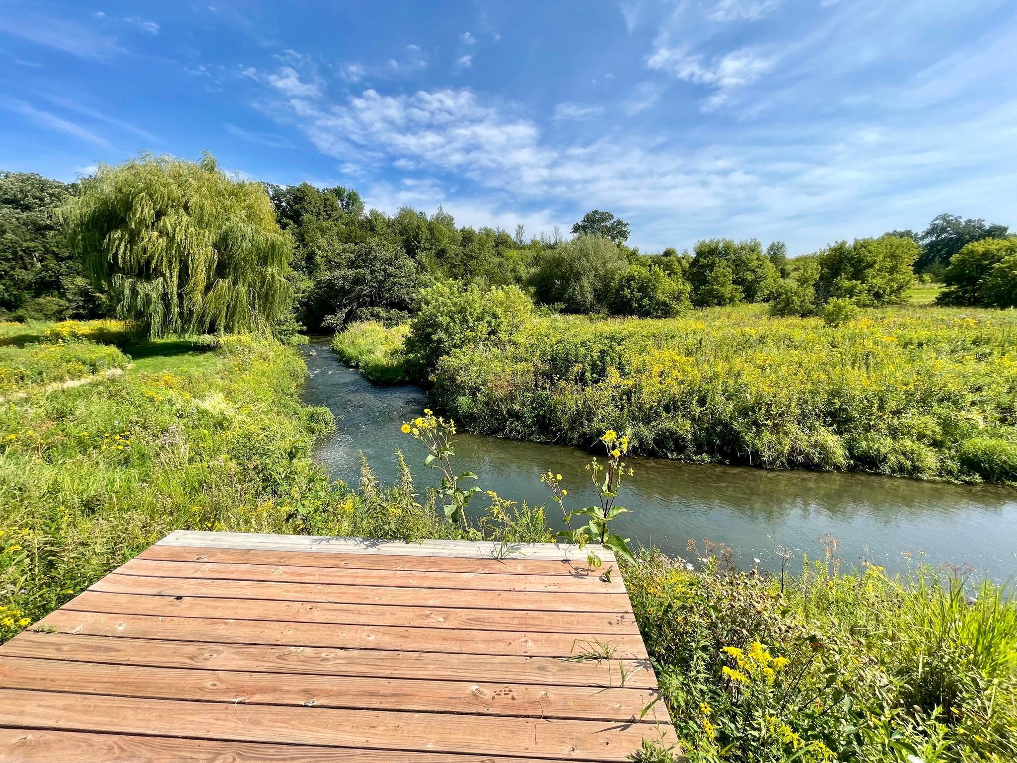 TBD County 8, Spring Grove, Minnesota image 10