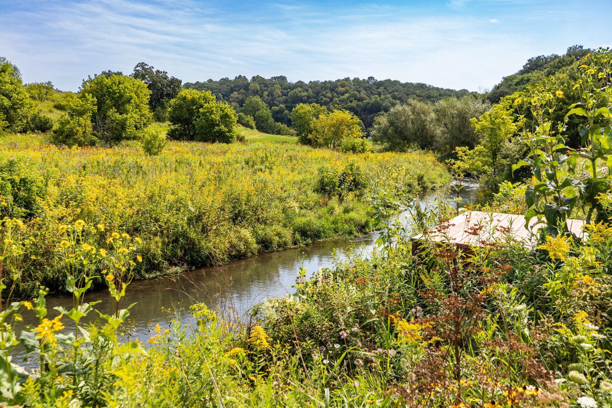 TBD County 8, Spring Grove, Minnesota image 22
