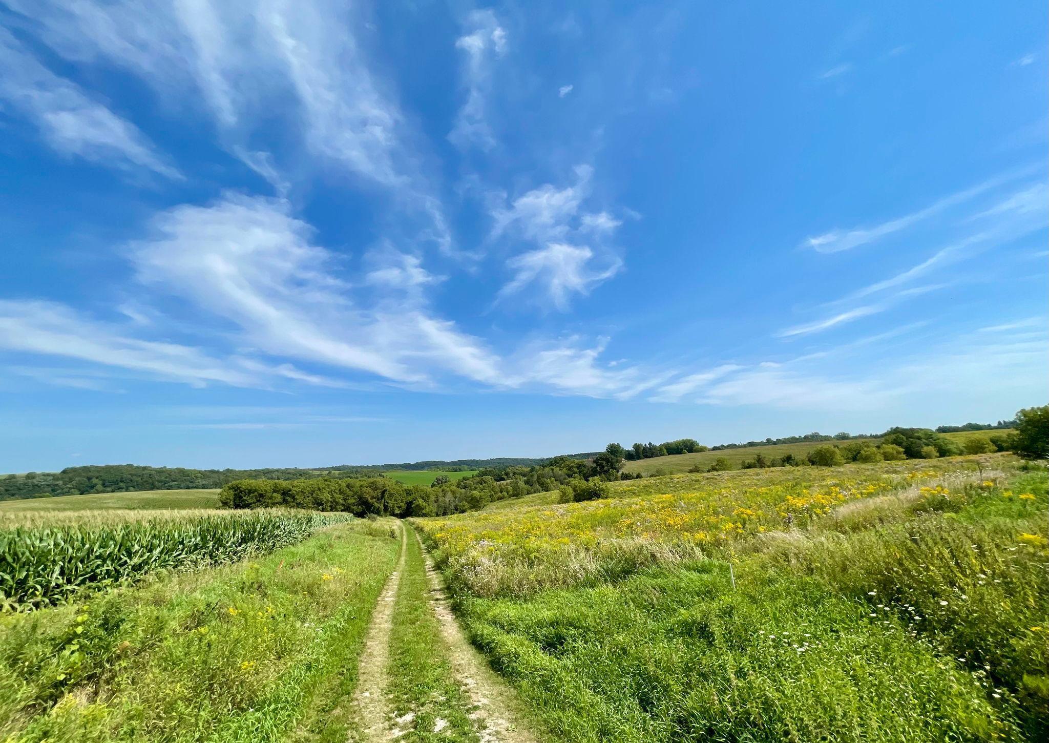 TBD County 8, Spring Grove, Minnesota image 2