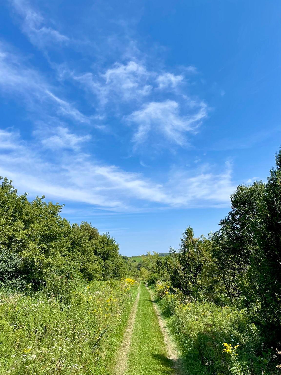 TBD County 8, Spring Grove, Minnesota image 42