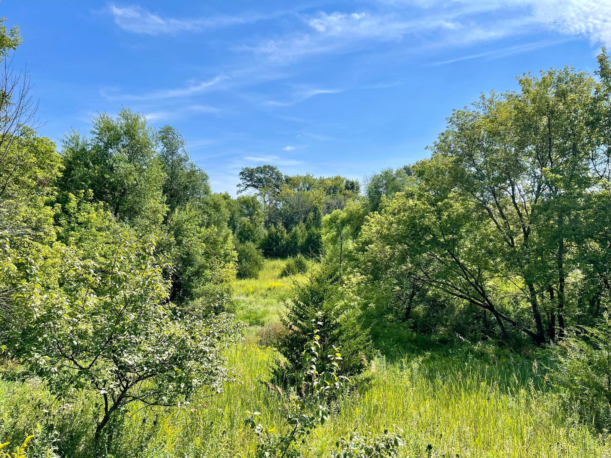 TBD County 8, Spring Grove, Minnesota image 36