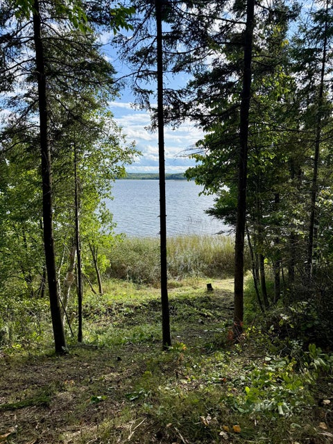 Homes For Sale - 37222 N Courage Dr (lot 5) Dr<br/> Lake George, MN 56458