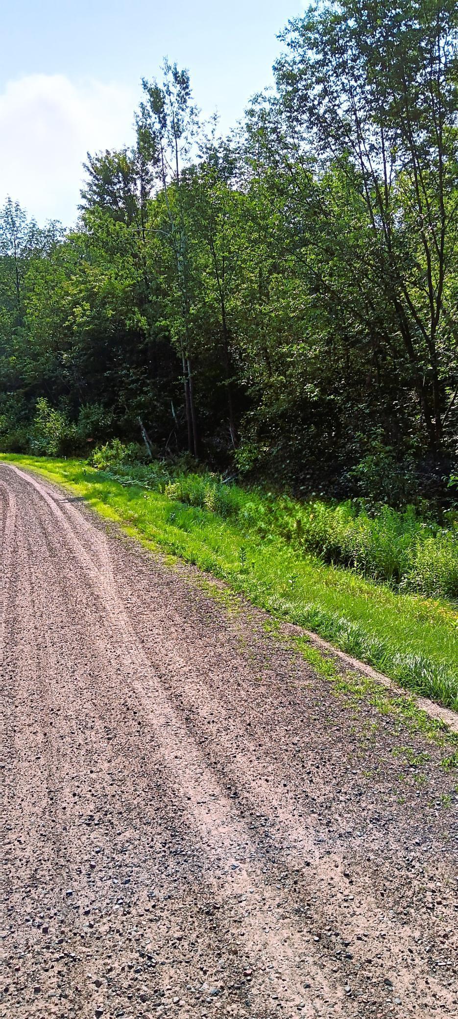 XXX Camp Road, Weyerhaeuser, Wisconsin image 4