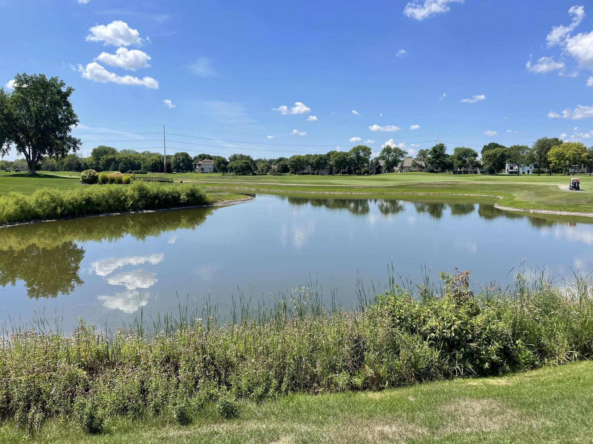 8707 Stratford Crossing, Brooklyn Park, Minnesota image 45