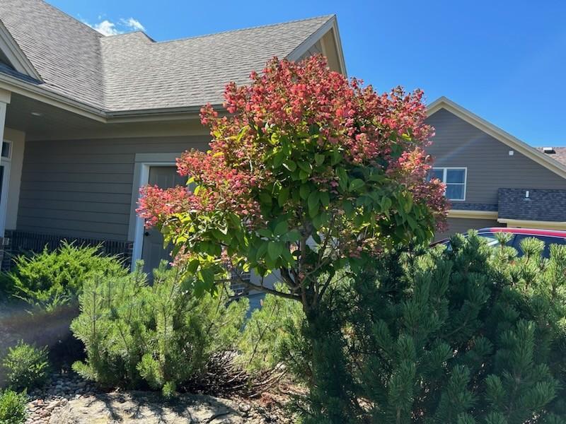 3770 Patio Lane, Rochester, Minnesota image 3