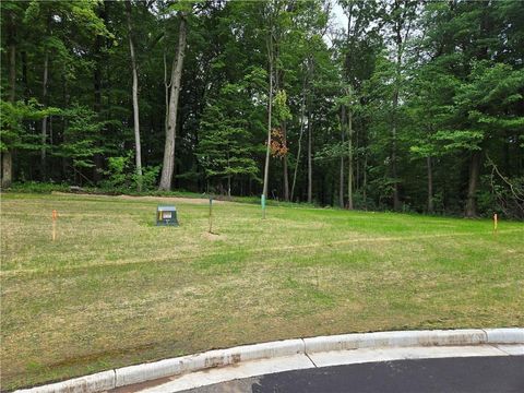 Vacant Land For Sale - 1457 Sykora Lane<br/> Boyceville, WI 54725