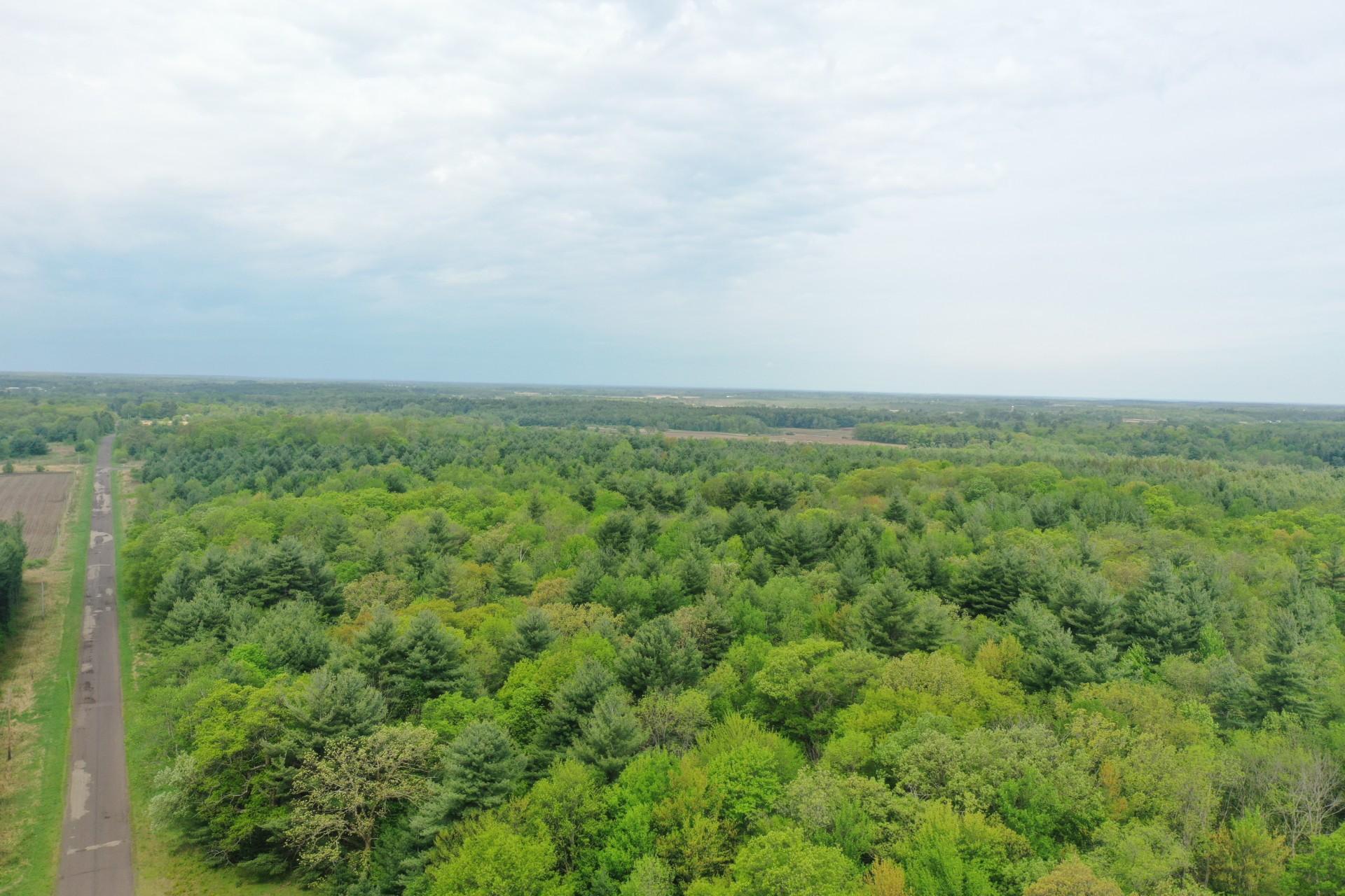 Lot 2 Blomgren Road, Siren, Wisconsin image 5