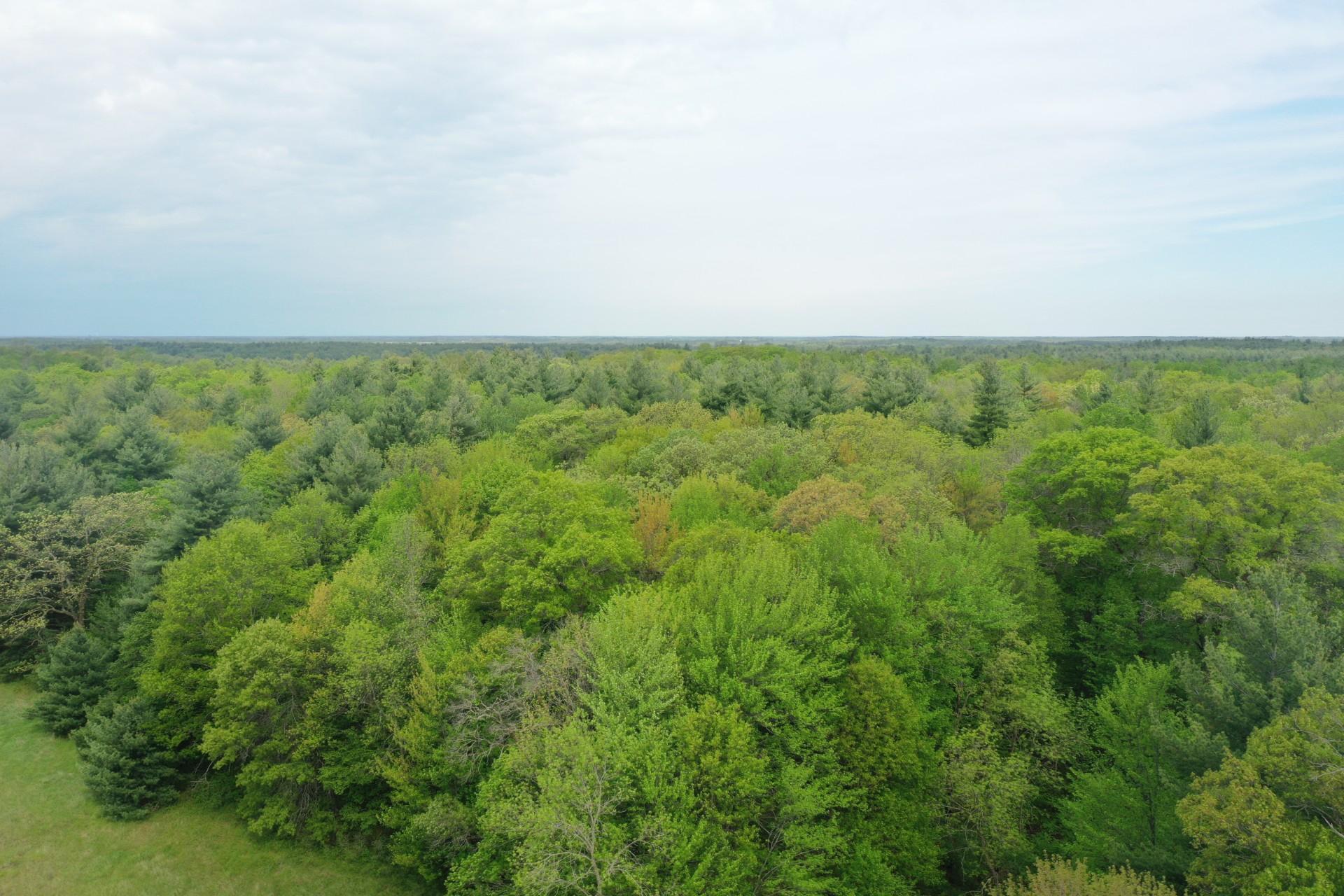 Lot 2 Blomgren Road, Siren, Wisconsin image 1