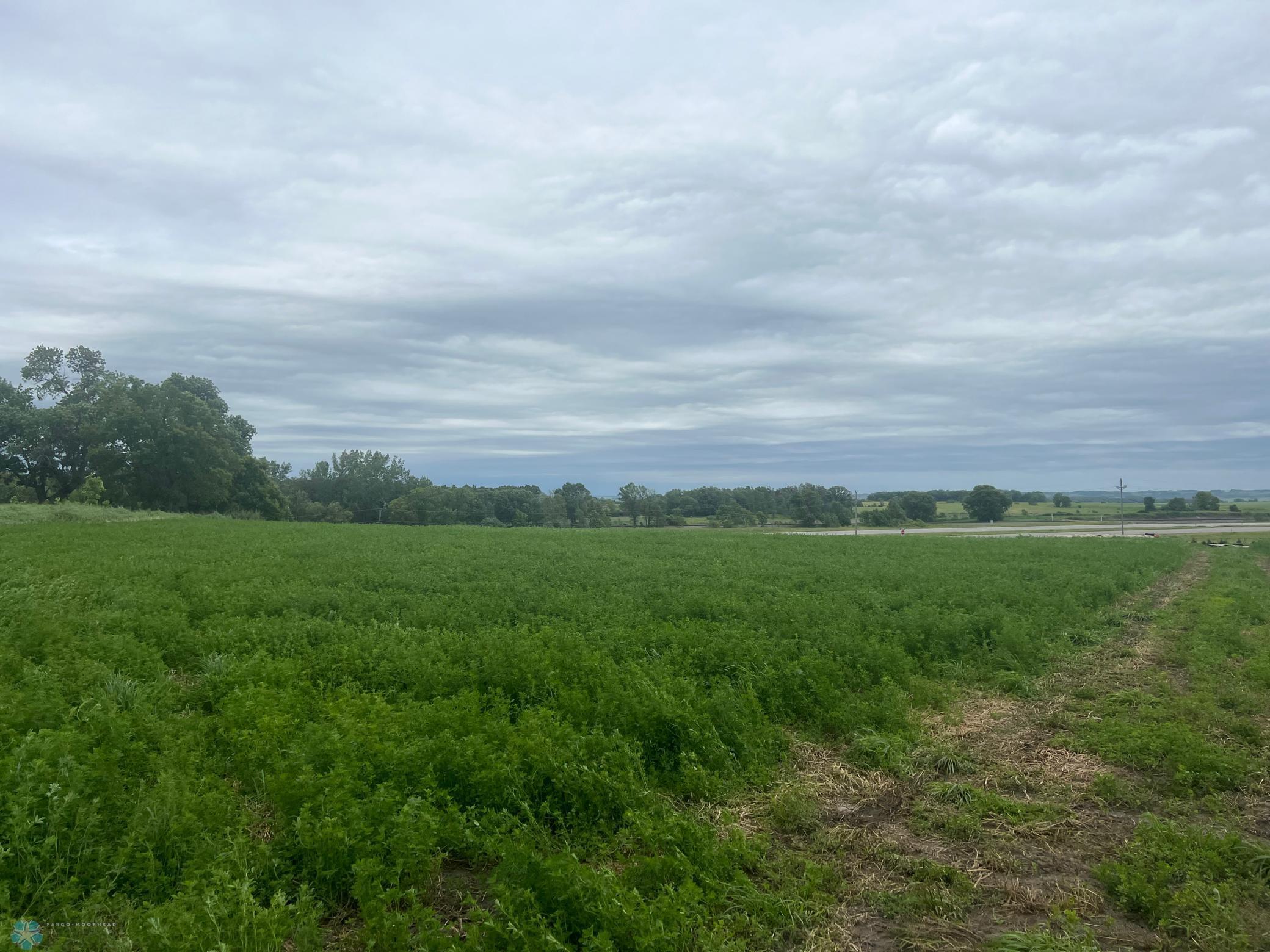 17132 Boyer Lake Rd Rd, Lake Park, Minnesota image 5