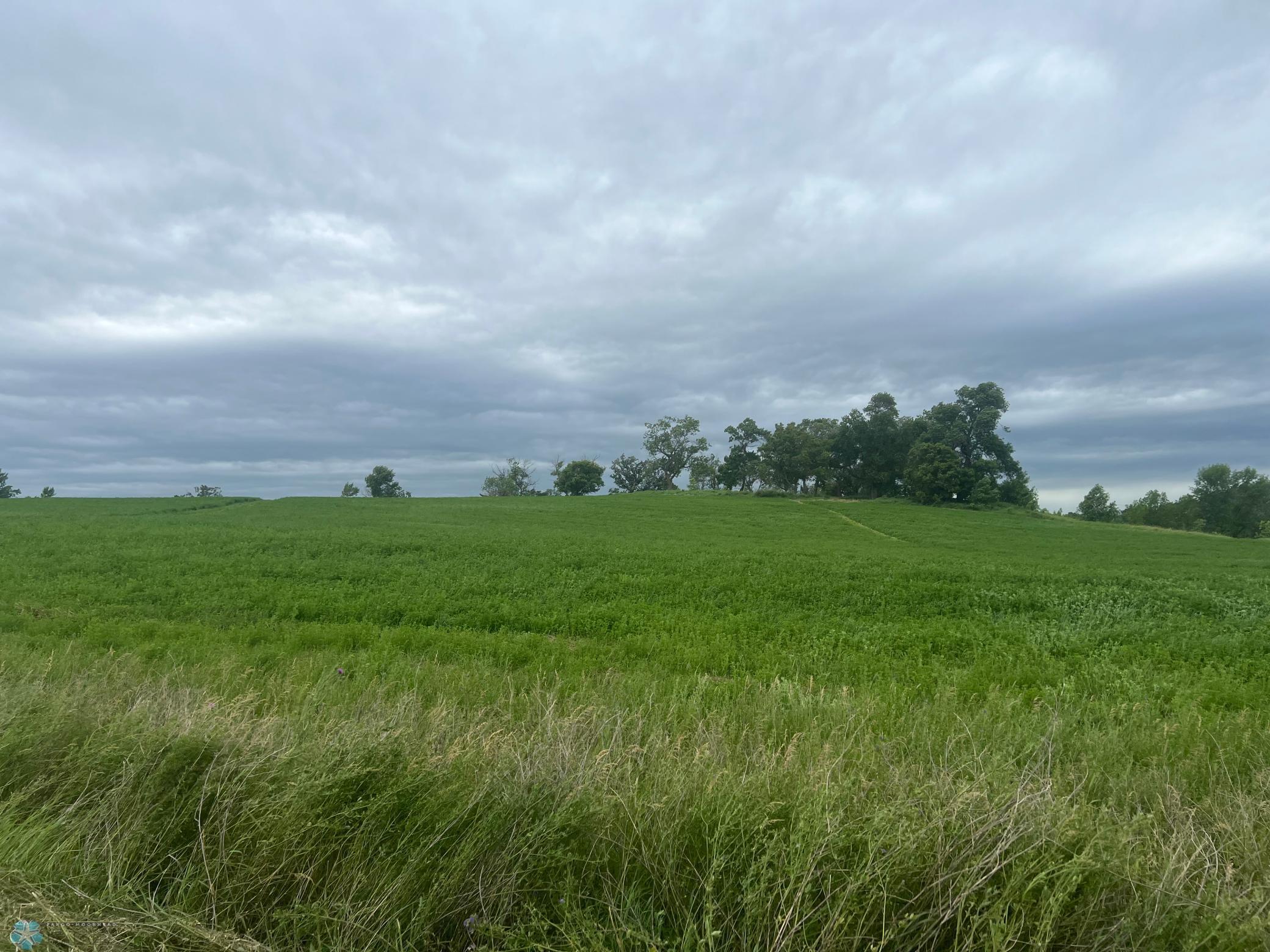 17132 Boyer Lake Rd Rd, Lake Park, Minnesota image 6