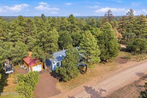 Tiny photo for 2190 Wildlife Trail, Overgaard, AZ 85933 (MLS # 258304)