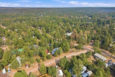 Tiny photo for 2190 Wildlife Trail, Overgaard, AZ 85933 (MLS # 258304)