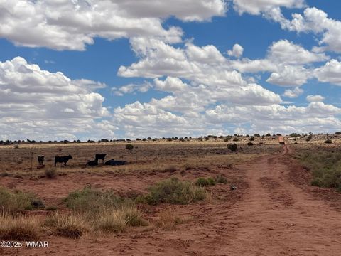 Tiny photo for 8400 Terry Trail, Snowflake, AZ 85937 (MLS # 257294)