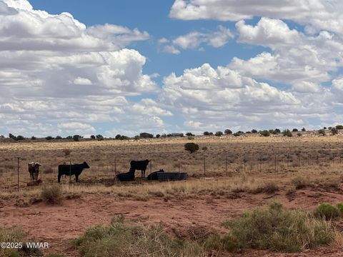 Tiny photo for 8400 Terry Trail, Snowflake, AZ 85937 (MLS # 257294)