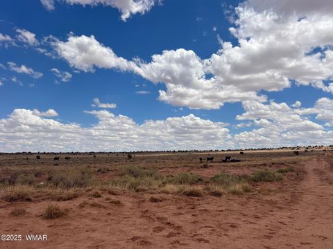 Tiny photo for 8400 Terry Trail, Snowflake, AZ 85937 (MLS # 257294)