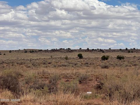 Tiny photo for 8400 Terry Trail, Snowflake, AZ 85937 (MLS # 257294)