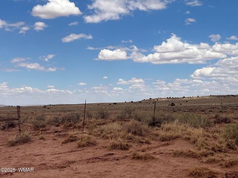 Tiny photo for 8400 Terry Trail, Snowflake, AZ 85937 (MLS # 257294)