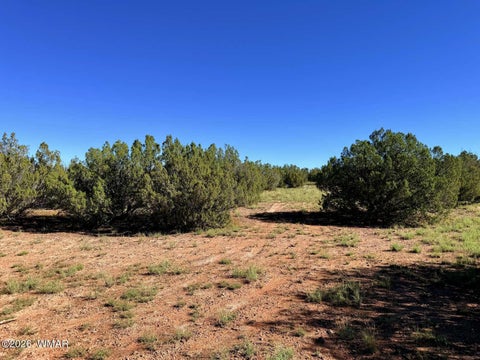 Tiny photo for 0 Lake Ridge Road, Show Low, AZ 85901 (MLS # 263516)