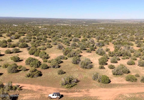 Tiny photo for 0 Lake Ridge Road, Show Low, AZ 85901 (MLS # 263516)