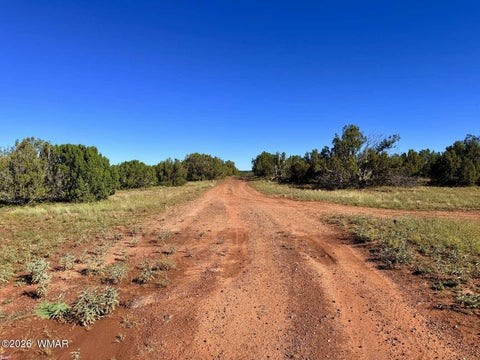 Tiny photo for 0 Lake Ridge Road, Show Low, AZ 85901 (MLS # 263516)