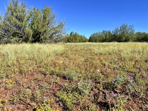Tiny photo for 0 Lake Ridge Road, Show Low, AZ 85901 (MLS # 263516)