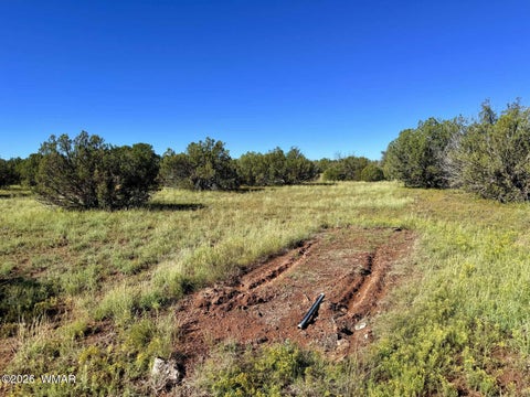 Tiny photo for 0 Lake Ridge Road, Show Low, AZ 85901 (MLS # 263516)