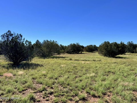 Tiny photo for 0 Lake Ridge Road, Show Low, AZ 85901 (MLS # 263516)