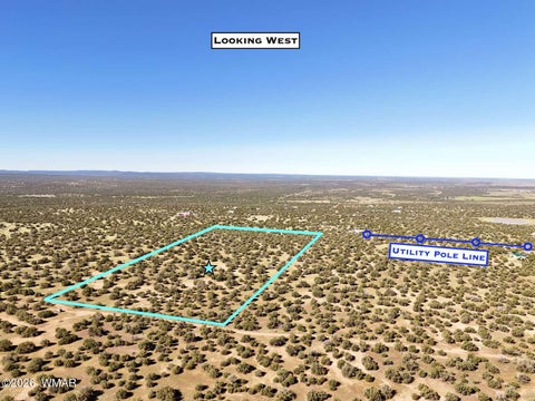 Photo of 0 Lake Ridge Road, Show Low, AZ 85901 (MLS # 263516)