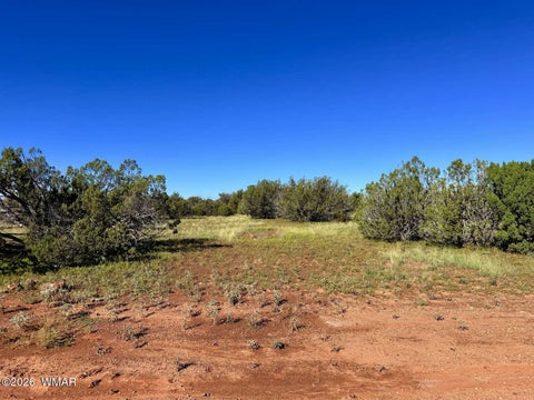 Tiny photo for 0 Lake Ridge Road, Show Low, AZ 85901 (MLS # 263516)