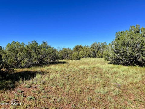 Tiny photo for 0 Lake Ridge Road, Show Low, AZ 85901 (MLS # 263516)