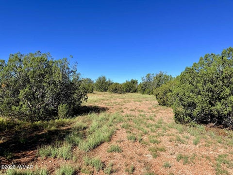 Tiny photo for 0 Lake Ridge Road, Show Low, AZ 85901 (MLS # 263516)