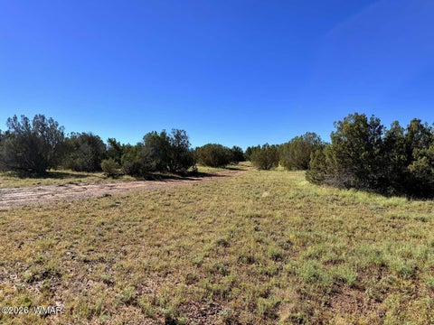 Tiny photo for 0 Lake Ridge Road, Show Low, AZ 85901 (MLS # 263516)