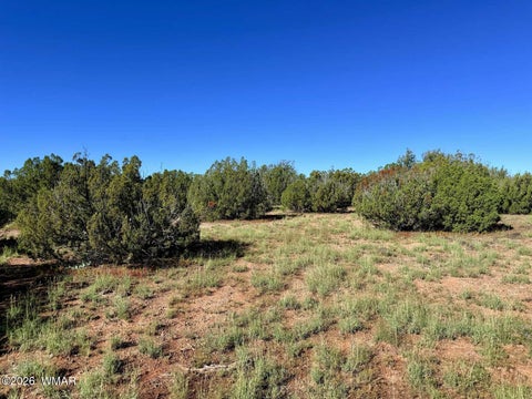 Tiny photo for 0 Lake Ridge Road, Show Low, AZ 85901 (MLS # 263516)