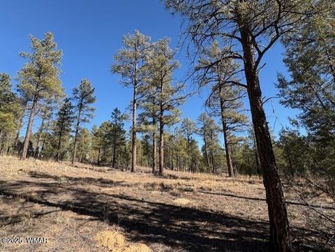 Tiny photo for 3461 W Black Oak Loop, Show Low, AZ 85901 (MLS # 259078)