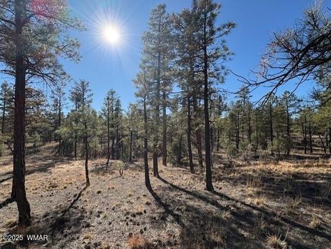 Tiny photo for 3461 W Black Oak Loop, Show Low, AZ 85901 (MLS # 259078)