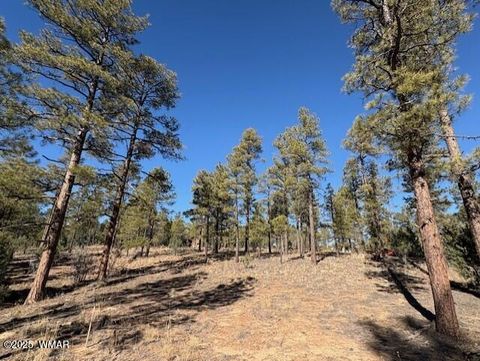 Tiny photo for 3461 W Black Oak Loop, Show Low, AZ 85901 (MLS # 259078)