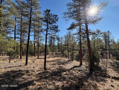 Tiny photo for 3461 W Black Oak Loop, Show Low, AZ 85901 (MLS # 259078)