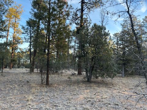 Tiny photo for TBD- R Hilltop, Lakeside, AZ 85929 (MLS # 259018)