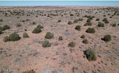 Tiny photo for 5371 Valley Road, Snowflake, AZ 85937 (MLS # 255078)