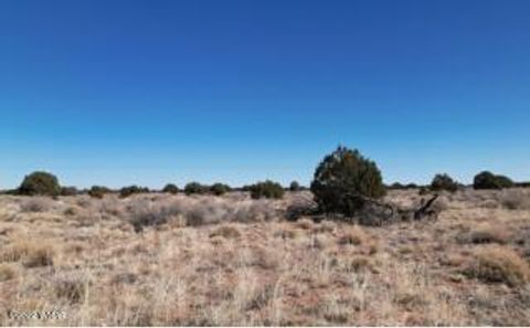 Tiny photo for 5371 Valley Road, Snowflake, AZ 85937 (MLS # 255078)